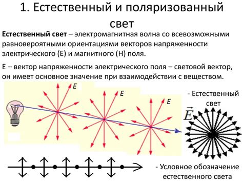 Уют и естественный свет