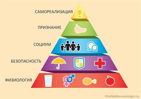 У домашних животных есть потребности