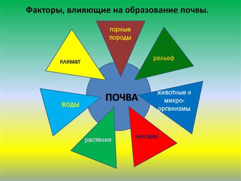 Факторы, влияющие на образование обломова