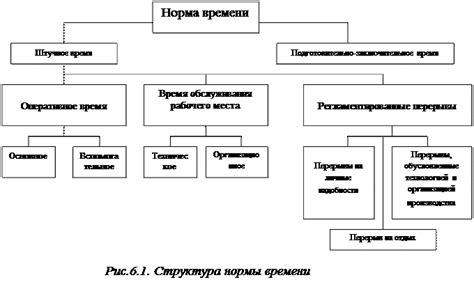 Факторы, влияющие на оптимальное время пересадки