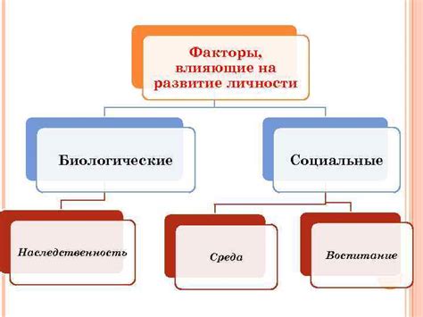 Факторы, влияющие на развитие ФШР