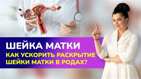 Факторы, влияющие на скорость раскрытия шейки матки