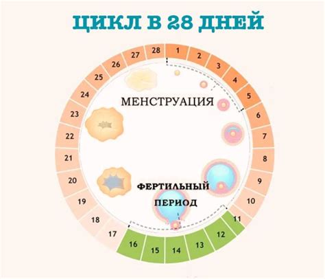 Факторы, влияющие на фертильность у женщин после 40 лет