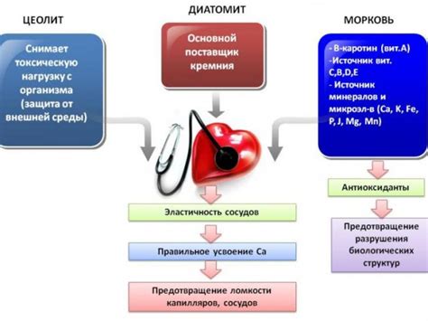 Факторы, влияющие на хрупкость и ломкость сосудов