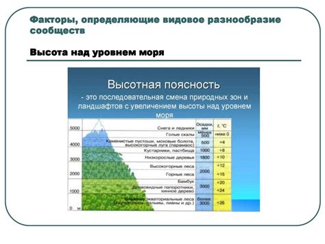 Факторы, определяющие разнообразие жаркого тропического пояса