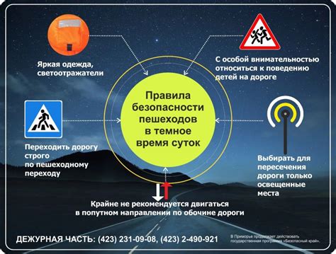 Факторы, привлекающие лосей на дорогу в темное время суток