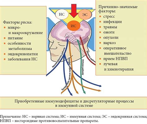 Факторы, способствующие слабости иммунной системы