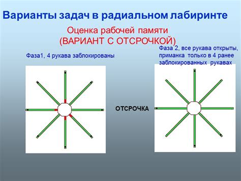 Факторы, ускоряющие обучение крыс