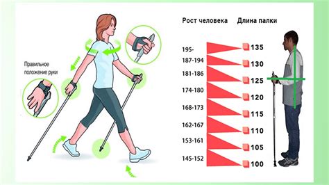 Факторы дрожания (качания) при ходьбе у пожилых людей