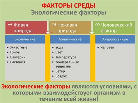 Факторы окружающей среды, мешающие засыпанию