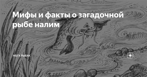 Факты и мифы о загадочной личности