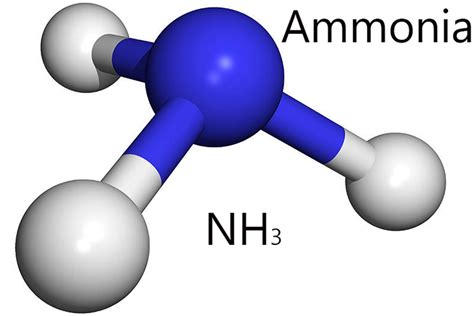 Факты об аммиаке