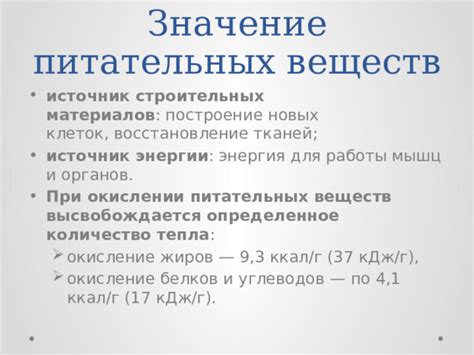 Факт №3: Сало - отличный источник энергии и питательных веществ