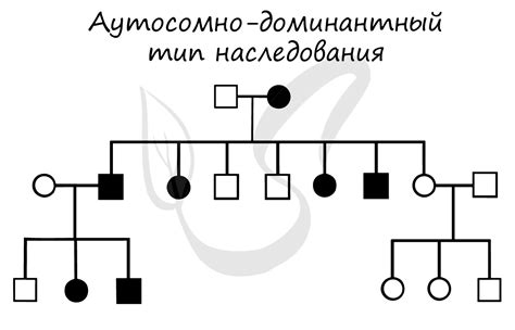 Фамилия как признак наследования