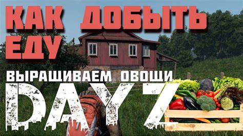 Фарминг и сбор ресурсов: как эффективно добывать необходимые ресурсы в DayZ Standalone