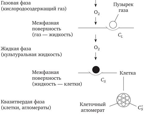 Ферментационные процессы в маринаде