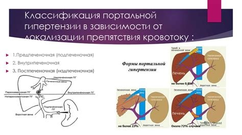 Фиброэзофагогастродуоденоскопия в выявлении портальной гипертензии