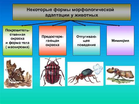 Физиологическая адаптация к защите