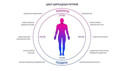 Физиологическая необходимость сна