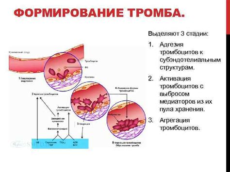 Физиологическая реакция организма