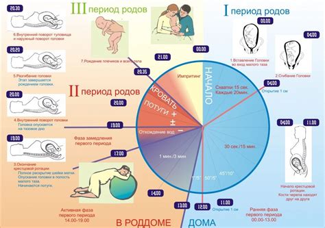 Физиологические аспекты родов в 30-е годы жизни