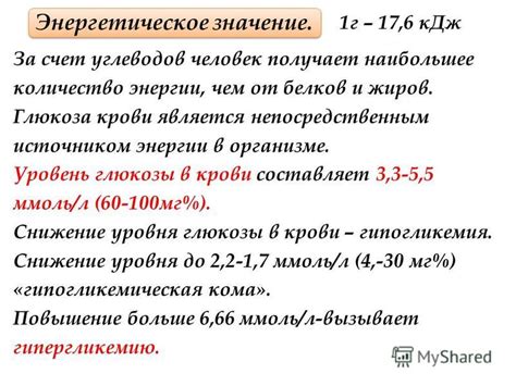 Физиологические аспекты уровня энергии в организме