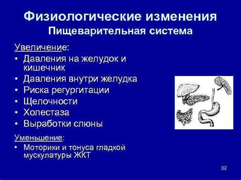 Физиологические изменения внутри листа