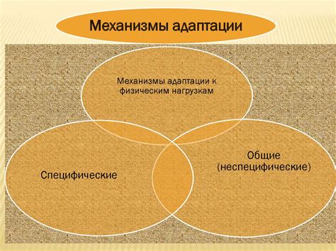 Физиологические механизмы самоуспокоения