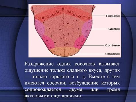 Физиологические основы выпячивания пупка