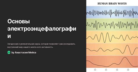 Физиологические основы электроэнцефалографии