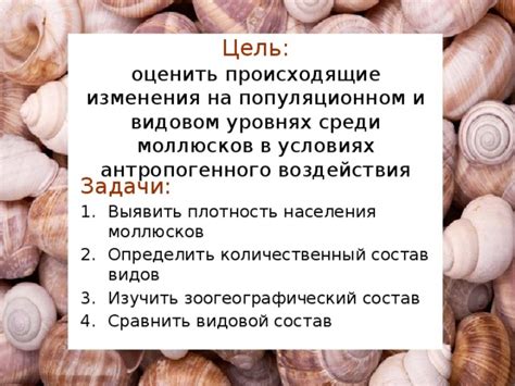 Физиологические особенности моллюсков в условиях холода