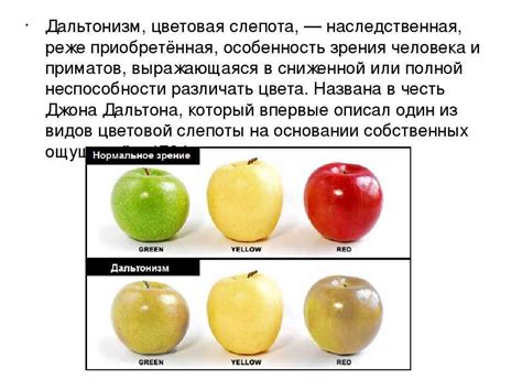 Физиологические особенности человеческого зрения