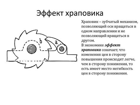 Физиологические принципы работы храпового механизма