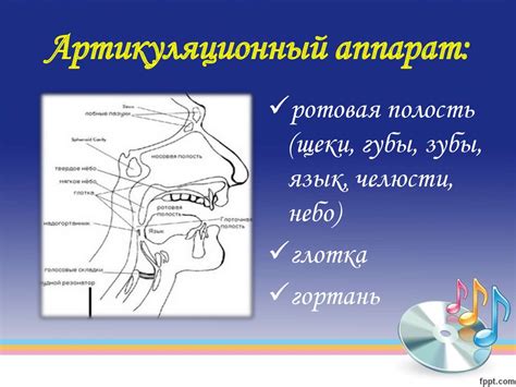 Физиологические причины отсутствия реакции на звуки