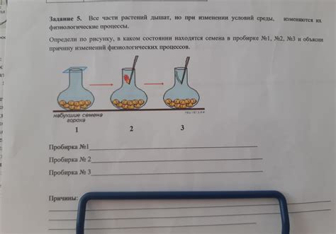 Физиологические процессы при испарении пота