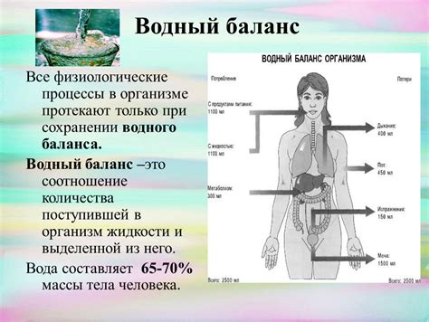 Физиологические процессы при образовании волдыря