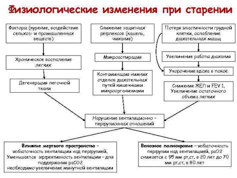 Физиологические факторы изменения окраса шерсти