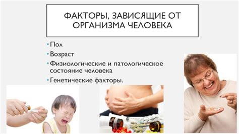 Физиологические факторы организма