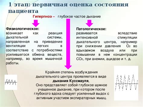 Физиологическое объяснение и реакция тела