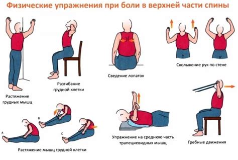 Физическая активность для восстановления шеи