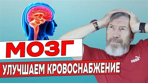 Физическая активность и ежедневные упражнения для улучшения памяти