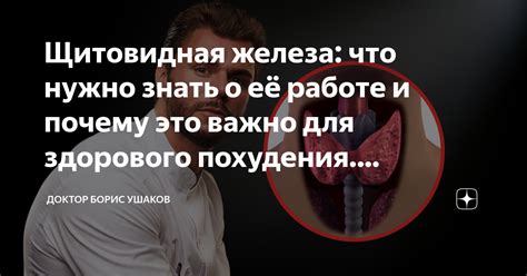 Физическая активность и щитовидная железа: что нужно знать