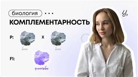 Физическая комплементарность