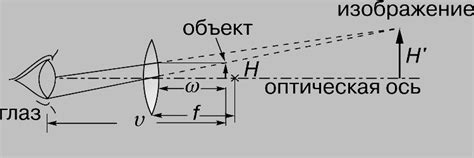 Физическая лупа: задачи и принцип работы