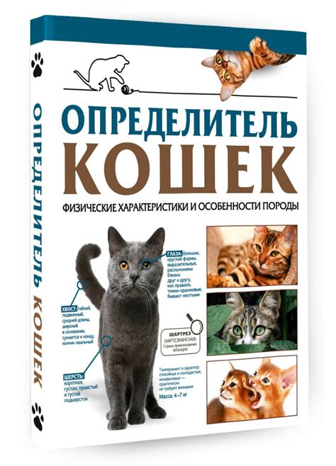 Физические особенности кошек