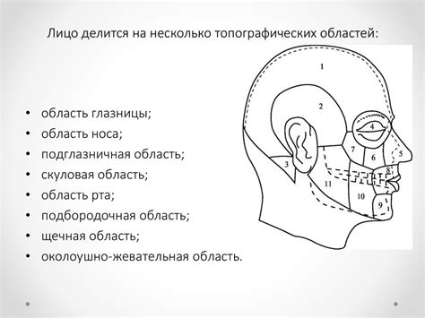 Физические особенности лица