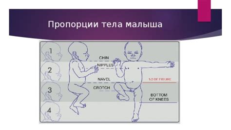 Физические особенности тела малыша