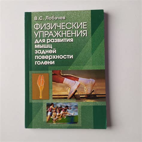 Физические упражнения для развития фцс