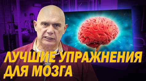 Физические упражнения для тренировки сосудов головного мозга