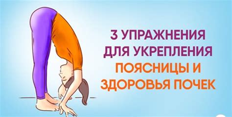 Физические упражнения для укрепления почек